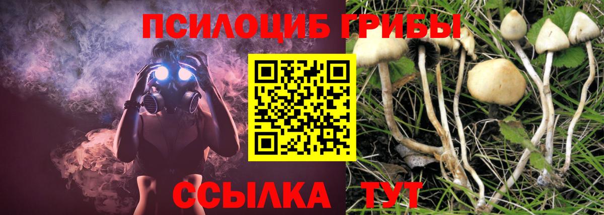 Псилоцибиновые грибы Magic Shrooms  Вход с VPN  Канаш 